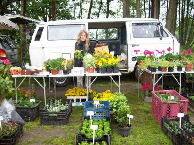 Flohmarkt 25