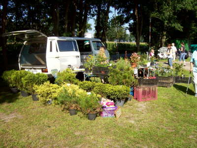 Flohmarkt 60